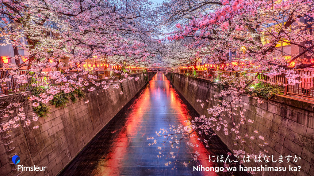 Free Spring Zoom Backgrounds Holiday Easter Ramadan Holi Earth Day Cinco de Mayo
