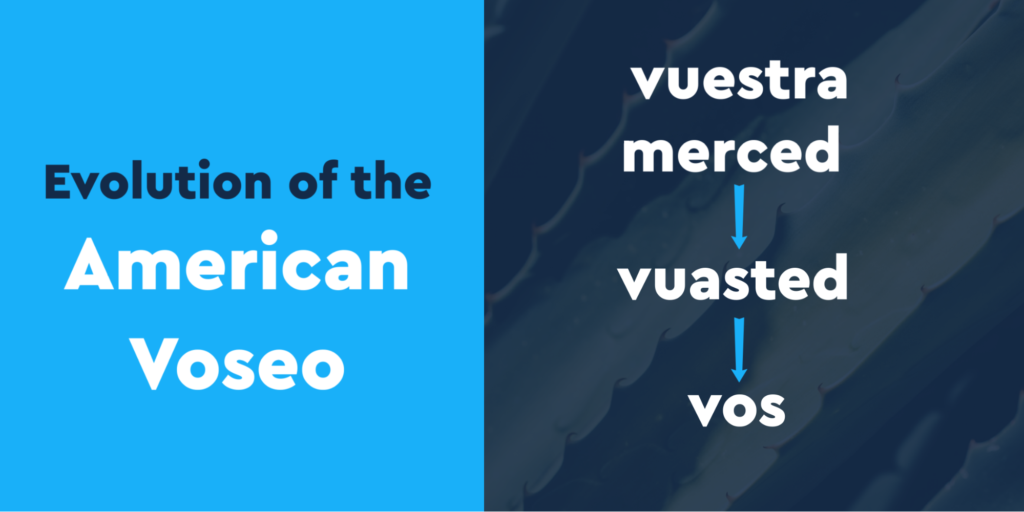 what is vos in Spanish