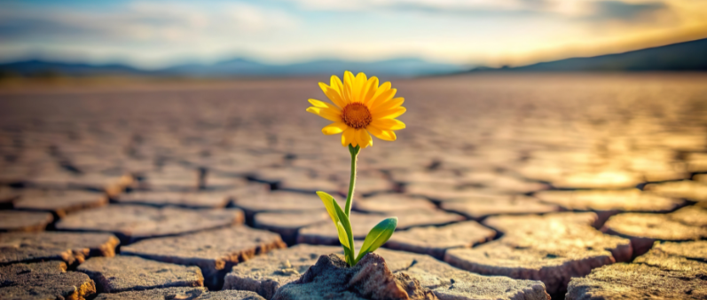Words of hope